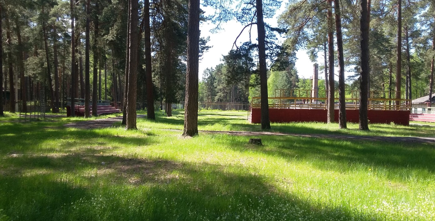 Жуковка брянск отдых. Лагерь Жуковка Брянск. Санаторий Деснянка Жуковка. Брянский лагерь Деснянка. Детский лагерь Деснянка Жуковка.